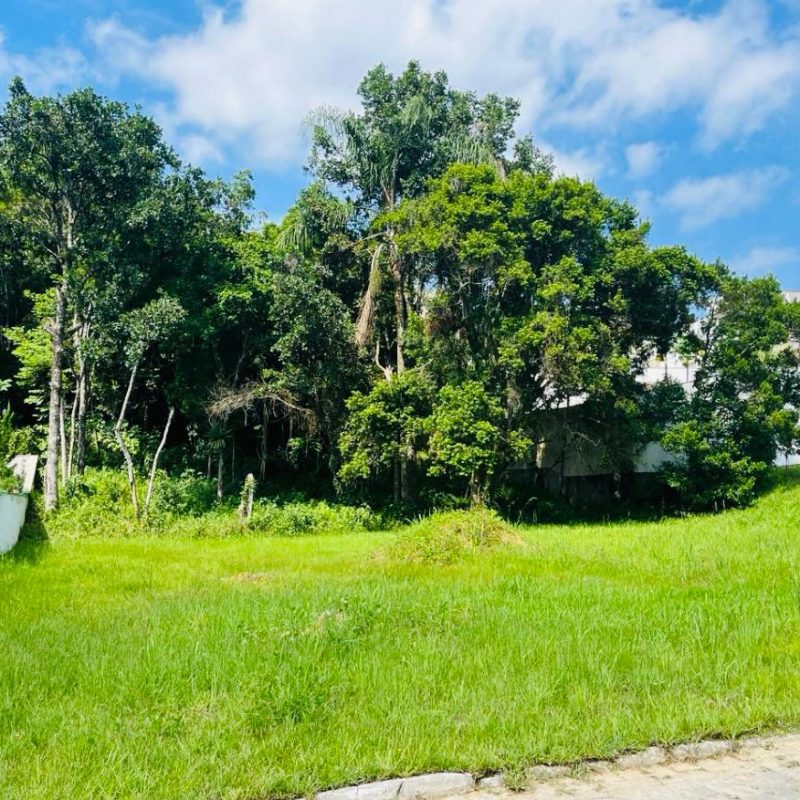 WhatsApp-Image-2025-09-24-at-11.25.54-1